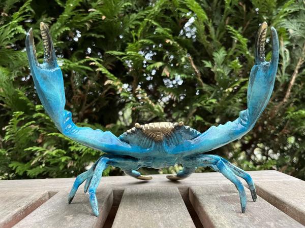KRABBE bronze blau